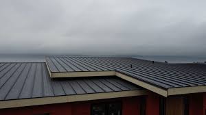 Best Roof Coating and Sealing  in Oran, MO